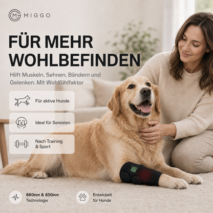 MIGGO LED-Rotlichtbandage Hund 660/850 nm – für Muskeln & Gelenke zur Regeneration