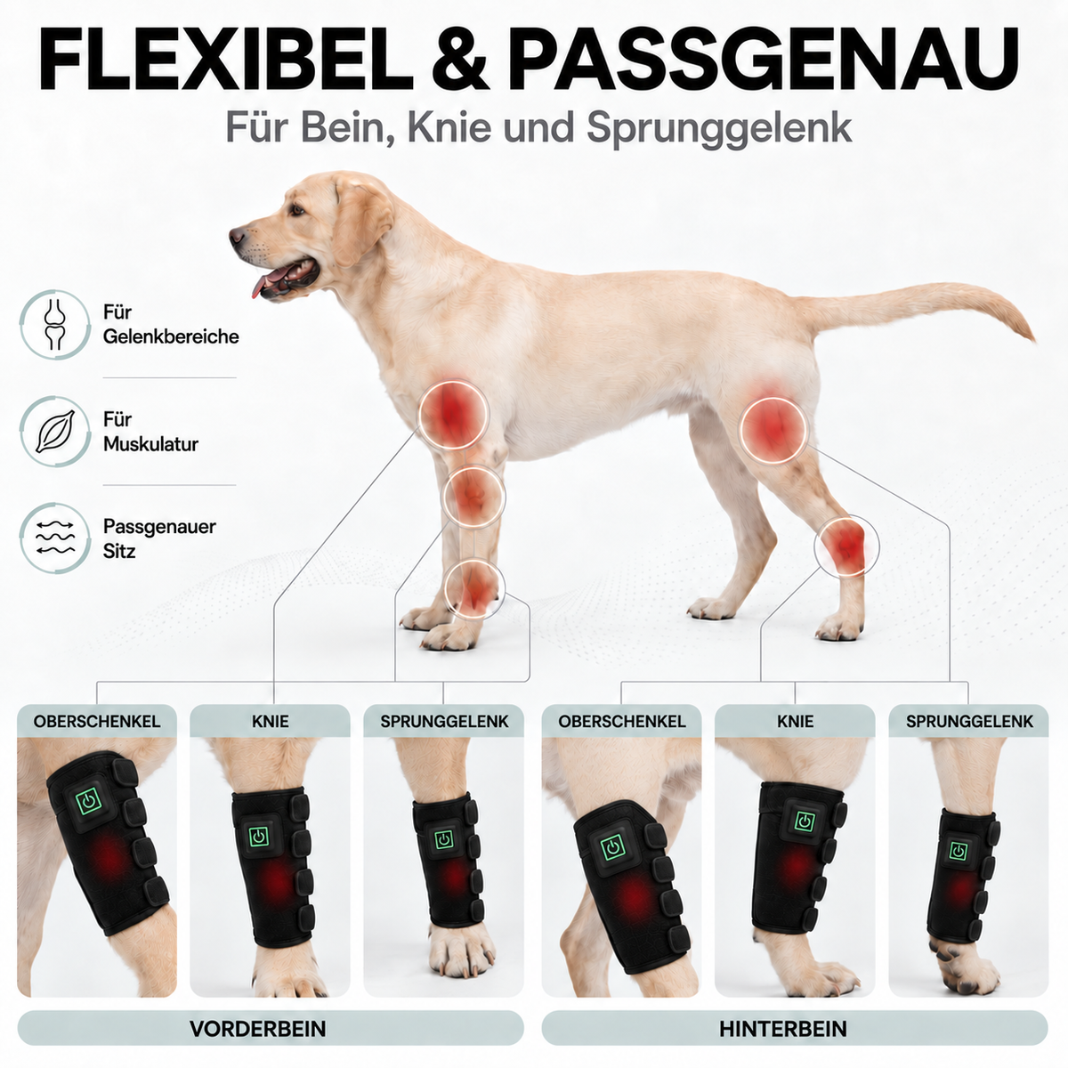 MIGGO LED-Rotlichtbandage Hund 660/850 nm – für Muskeln & Gelenke zur Regeneration