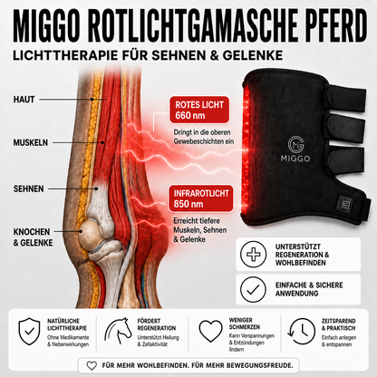 MIGGO LED-Rotlichtgamaschen Pferd 660/850 nm – für Muskeln, Sehnen & Gelenke zur Regeneration | Doppelpack