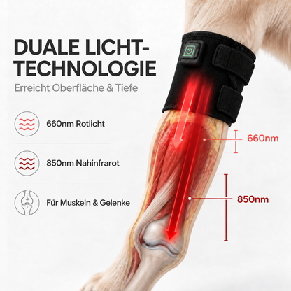 MIGGO LED-Rotlichtbandage Hund 660/850 nm – für Muskeln & Gelenke zur Regeneration