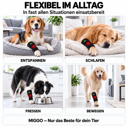 MIGGO LED-Rotlichtbandage Hund 660/850 nm – für Muskeln & Gelenke zur Regeneration