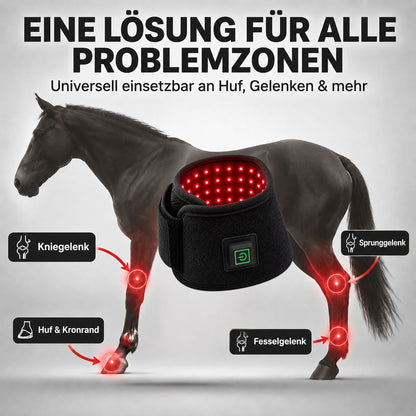 MIGGO LED-Rotlichtgamasche Pferd 660/850 nm – für Huf & Gelenke zur Regeneration