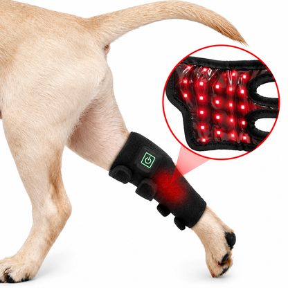 MIGGO LED-Rotlichtbandage Hund 660/850 nm – für Muskeln & Gelenke zur Regeneration
